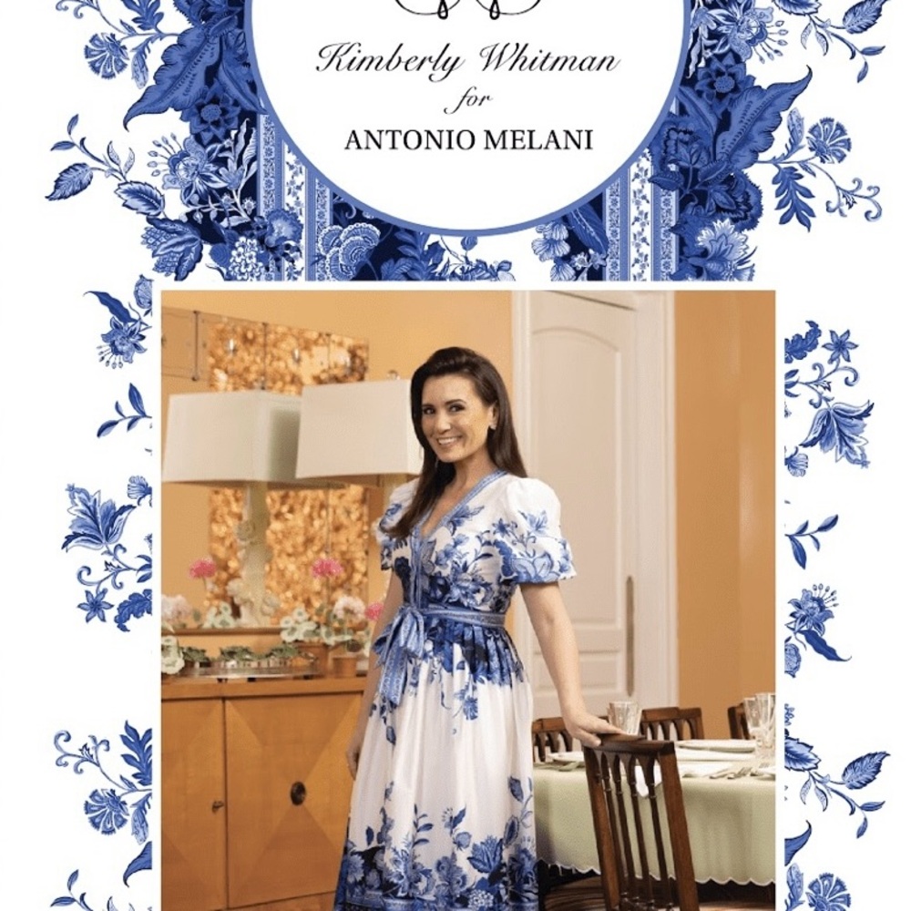 Antonio Melani Blue and White Floral Gown